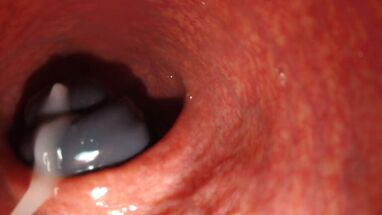 Студентка вставила в задний проход камеру и занялась анальной мастурбацией с секс игрушкой